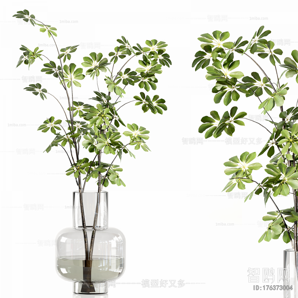 Modern Aquatic Green Plant