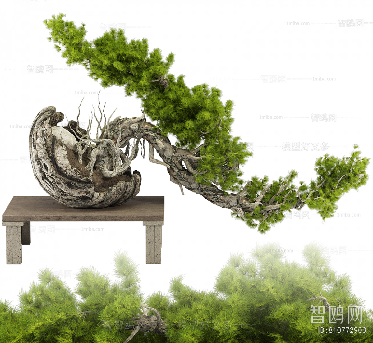 Modern Bonsai