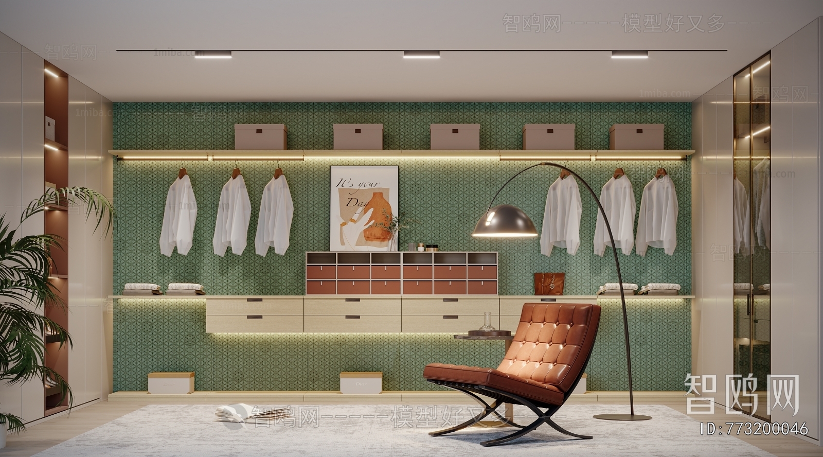 Modern Clothes Storage Area