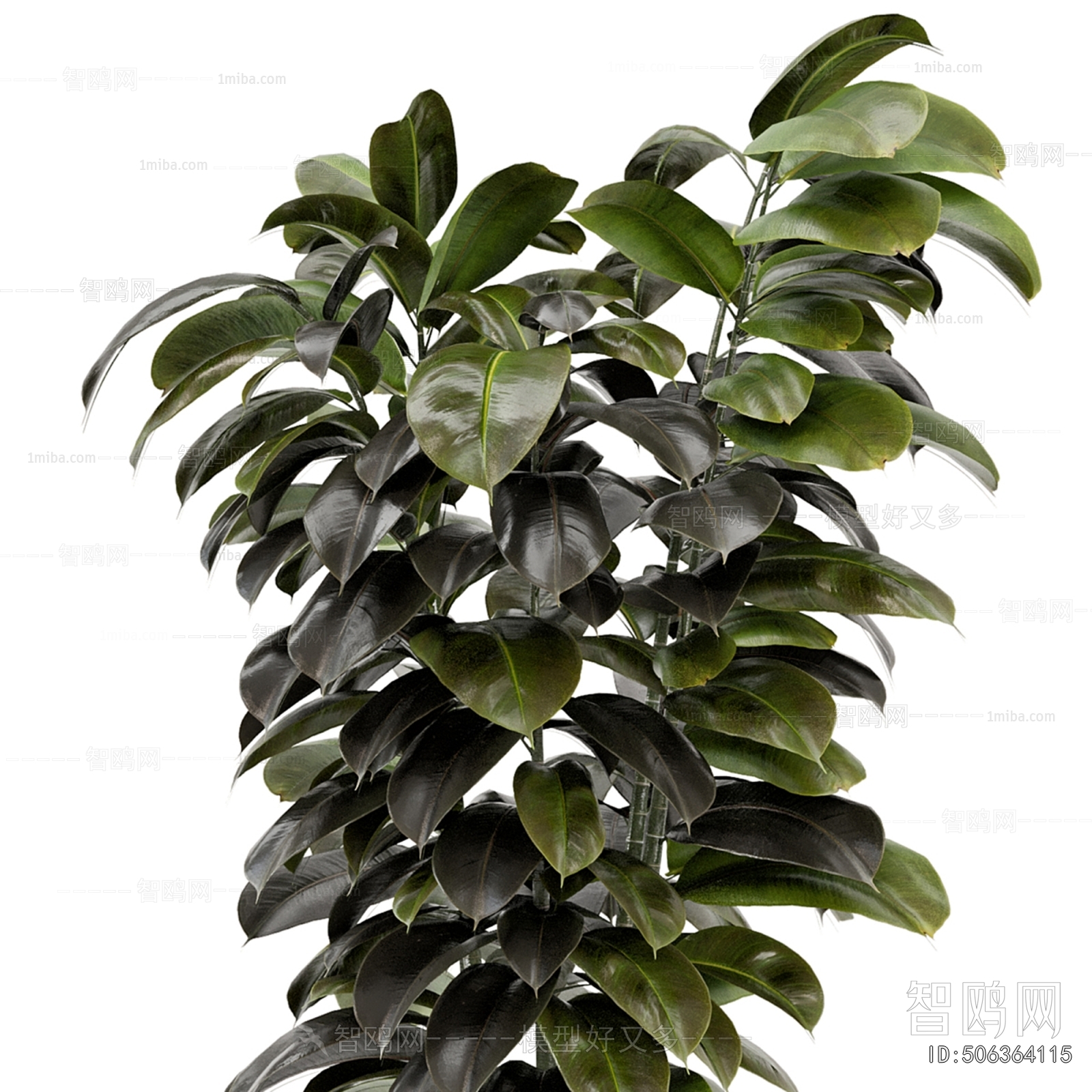 Modern Potted Green Plant