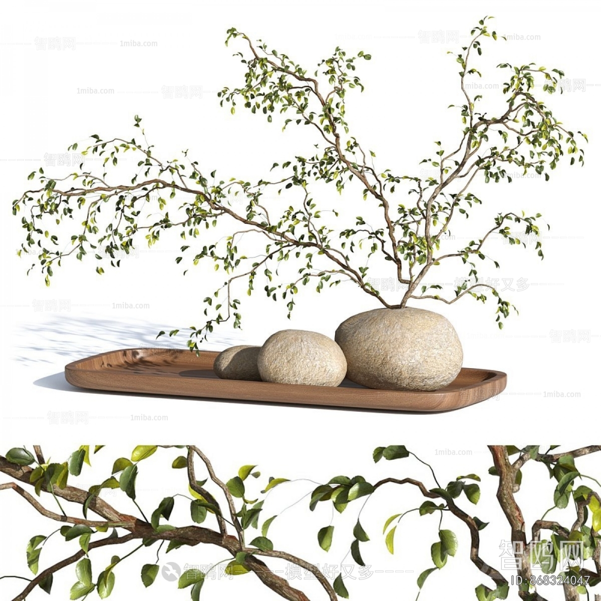 Modern Aquatic Green Plant