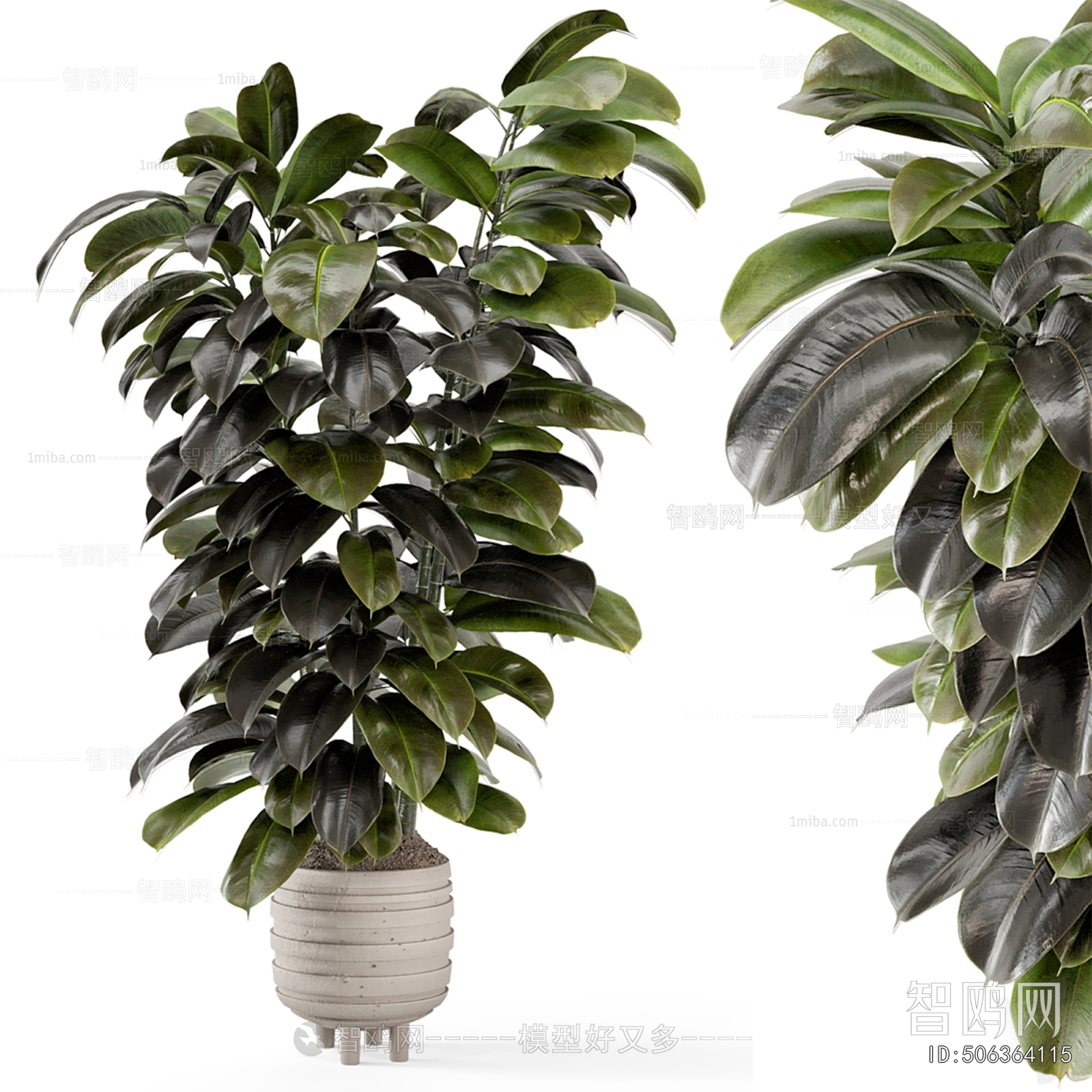 Modern Potted Green Plant