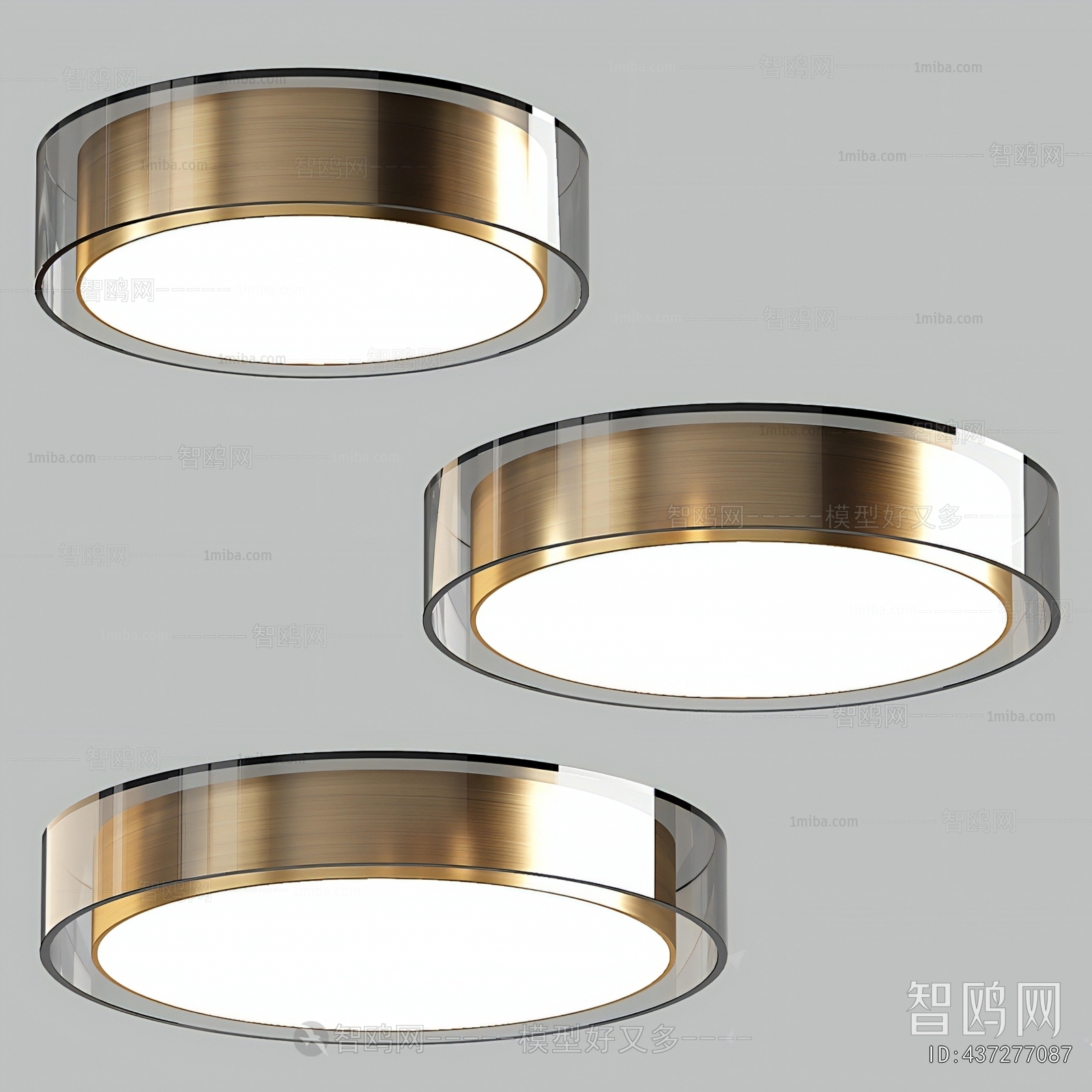 Modern Ceiling Ceiling Lamp