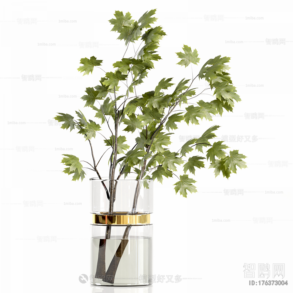 Modern Aquatic Green Plant