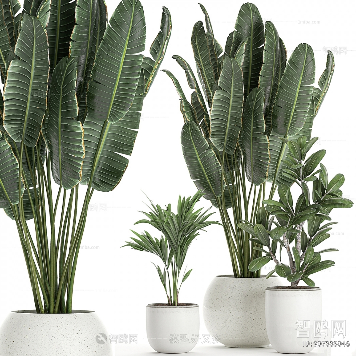 Modern Ground Green Plant Potted Plants