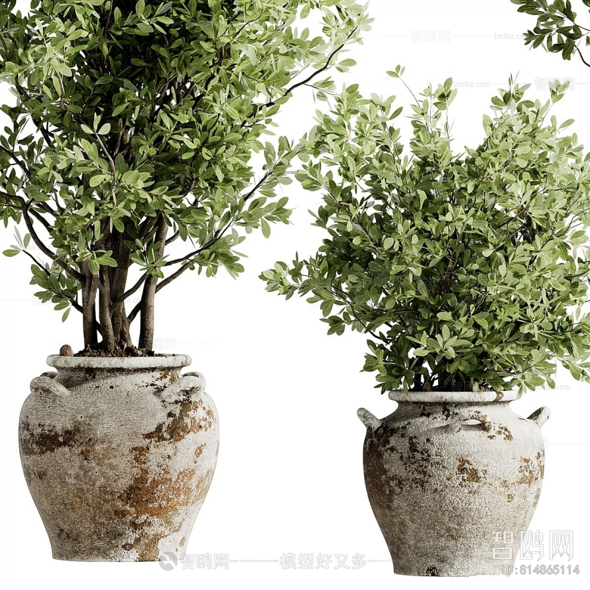 现代落地绿植盆栽组合