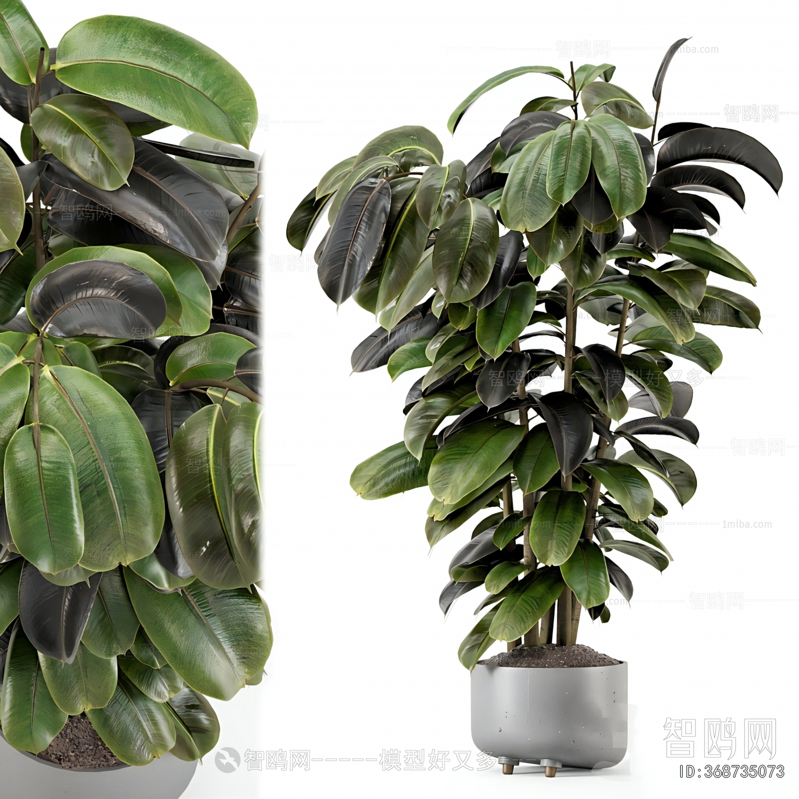 Modern Ground Green Plant Potted Plants