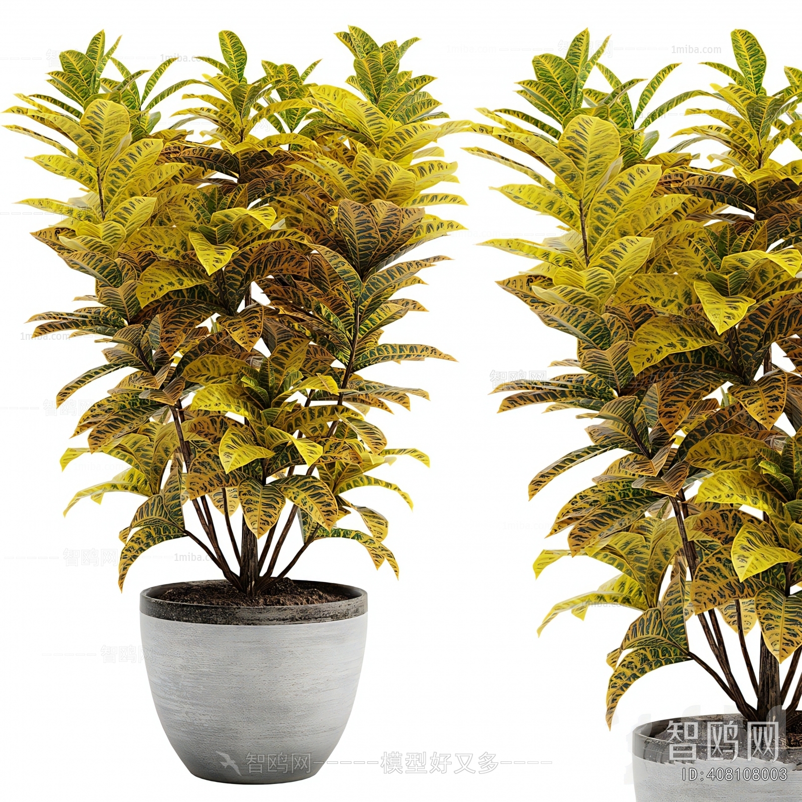 Modern Ground Green Plant Potted Plants