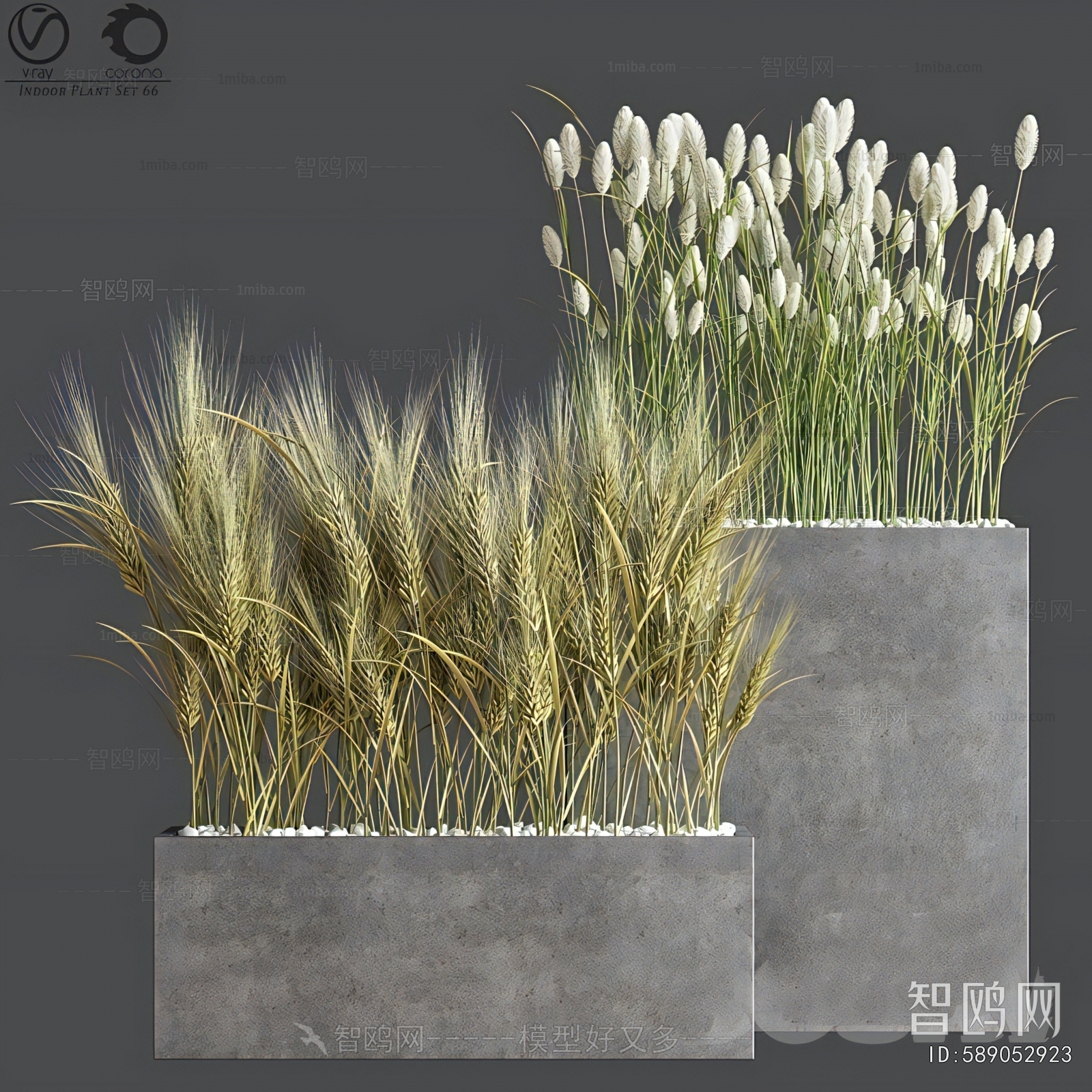 Modern Flower Bed, Flower Bowl, Flower Box