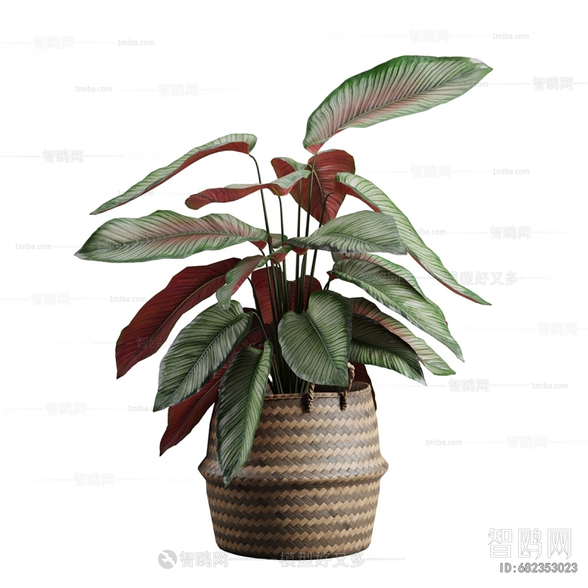 Modern Potted Green Plant
