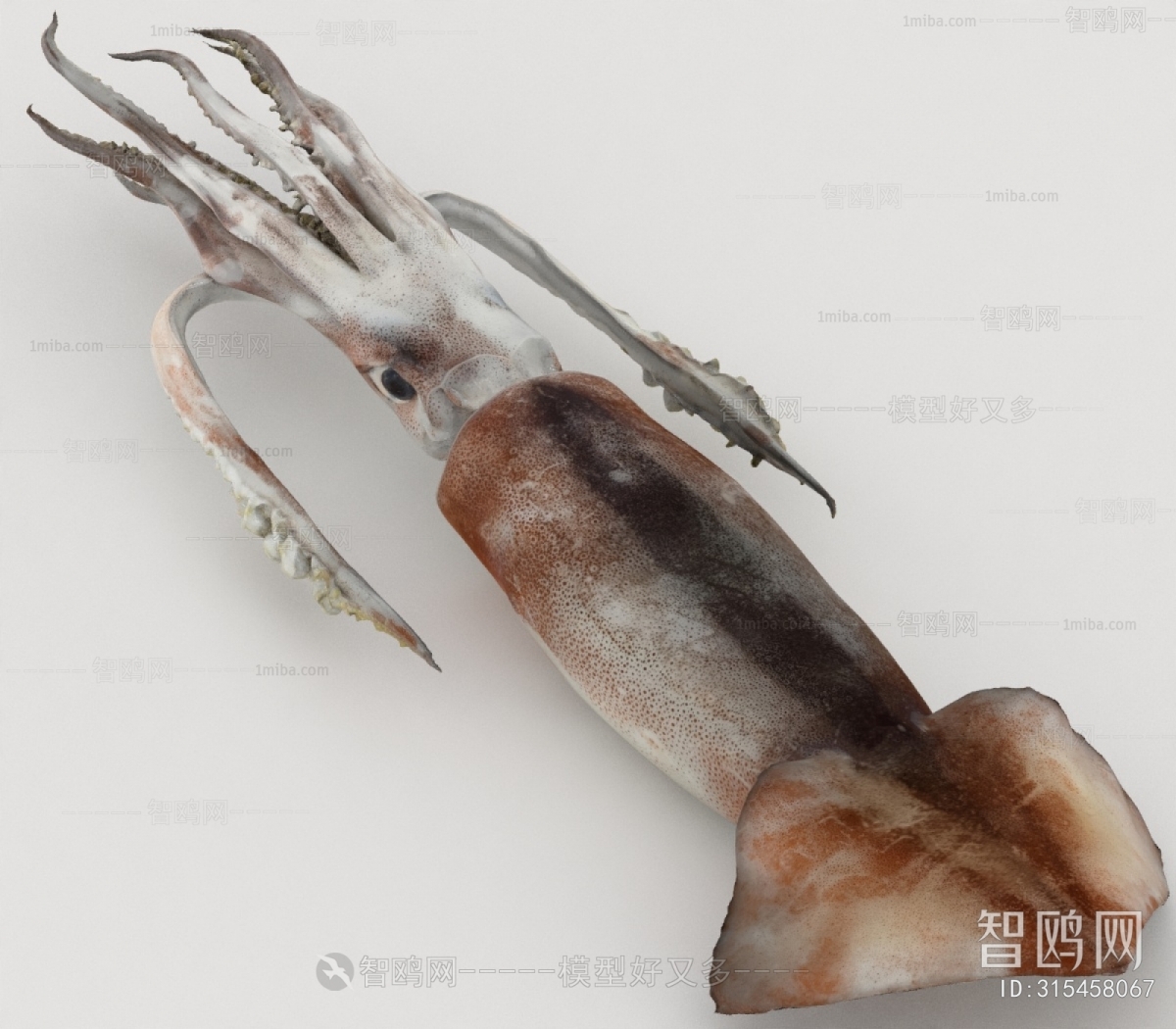 Modern Aquatic Product