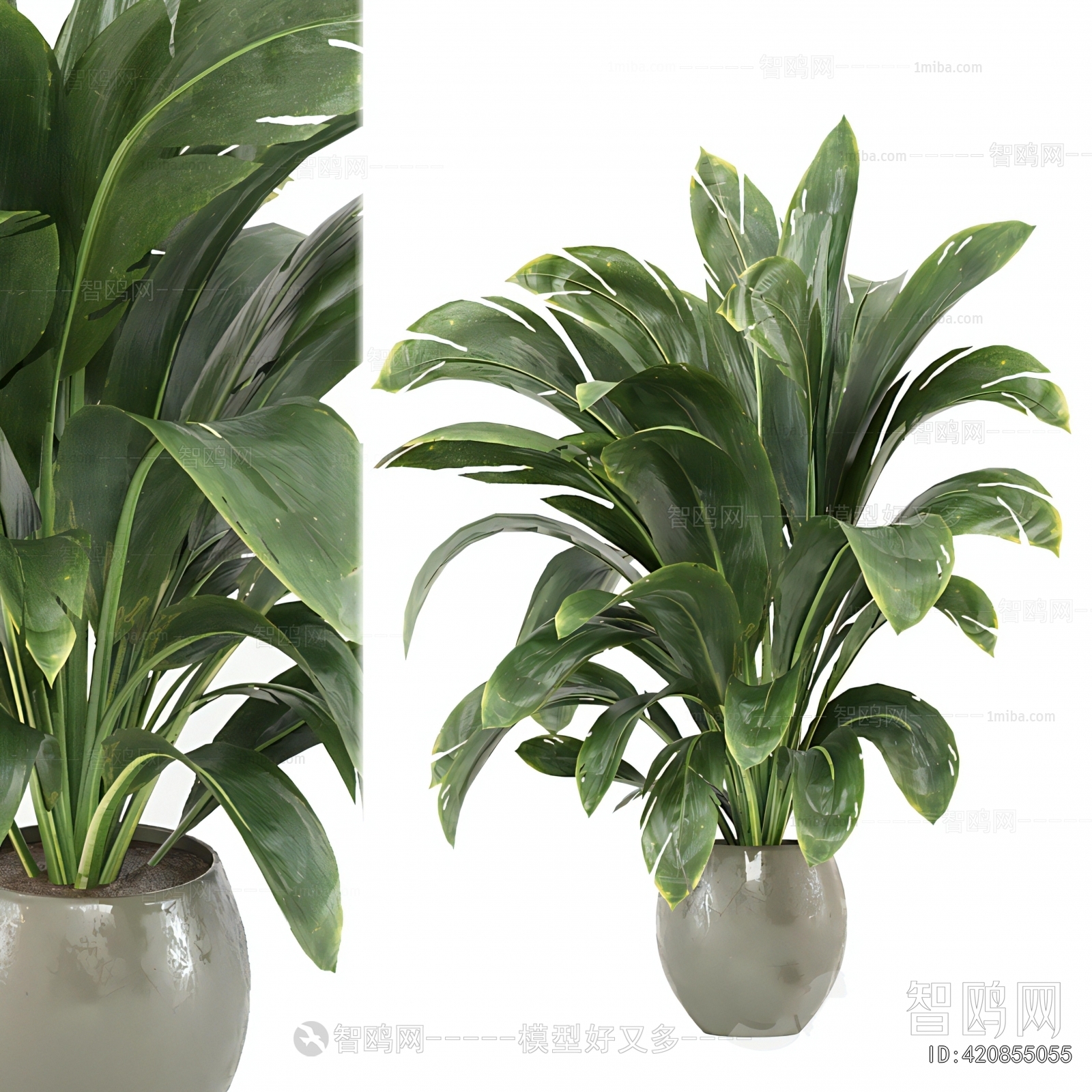 Modern Ground Green Plant Potted Plants