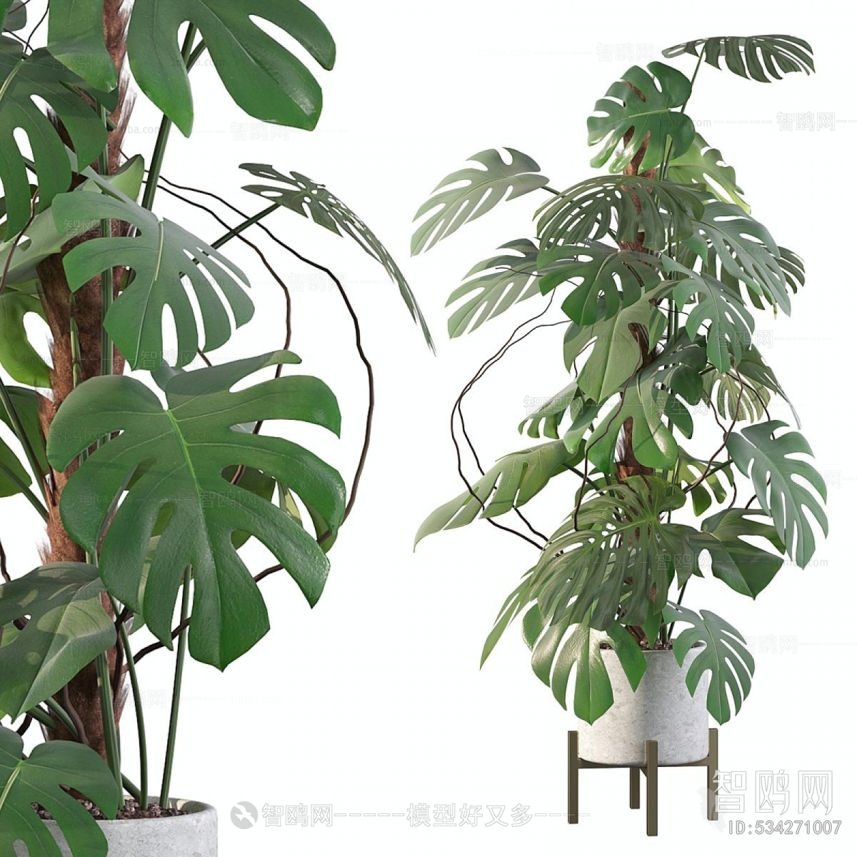 Modern Ground Green Plant Potted Plants