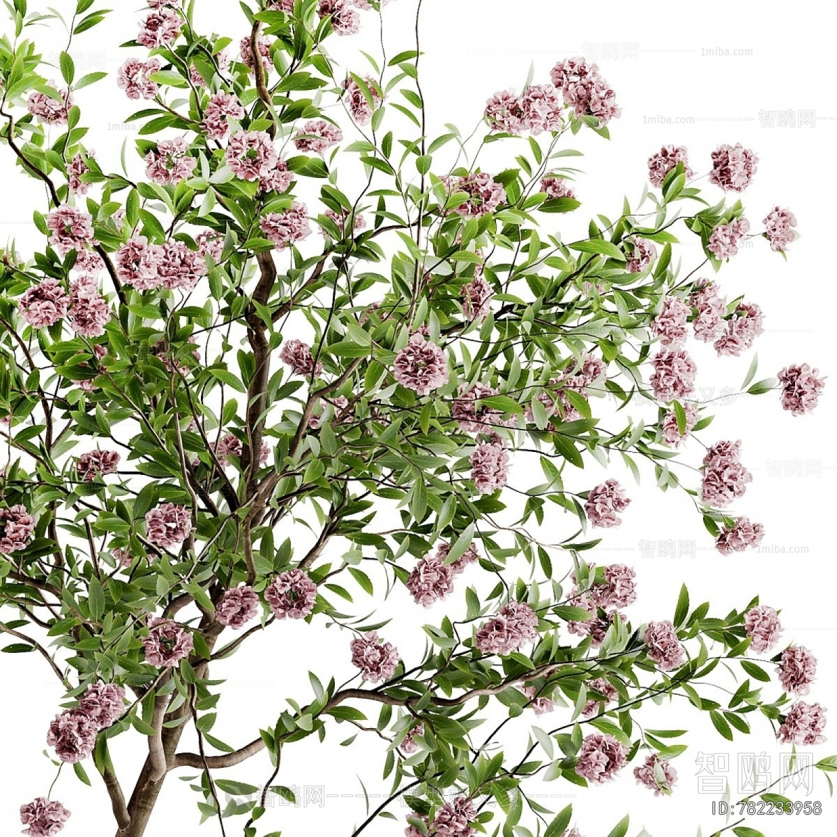 Modern Ground Green Plant Potted Plants