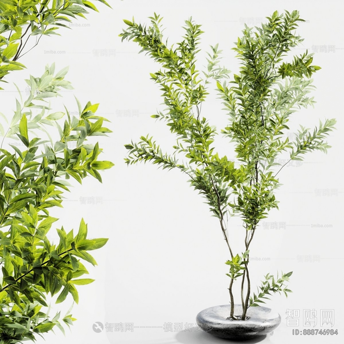 Modern Ground Green Plant Potted Plants