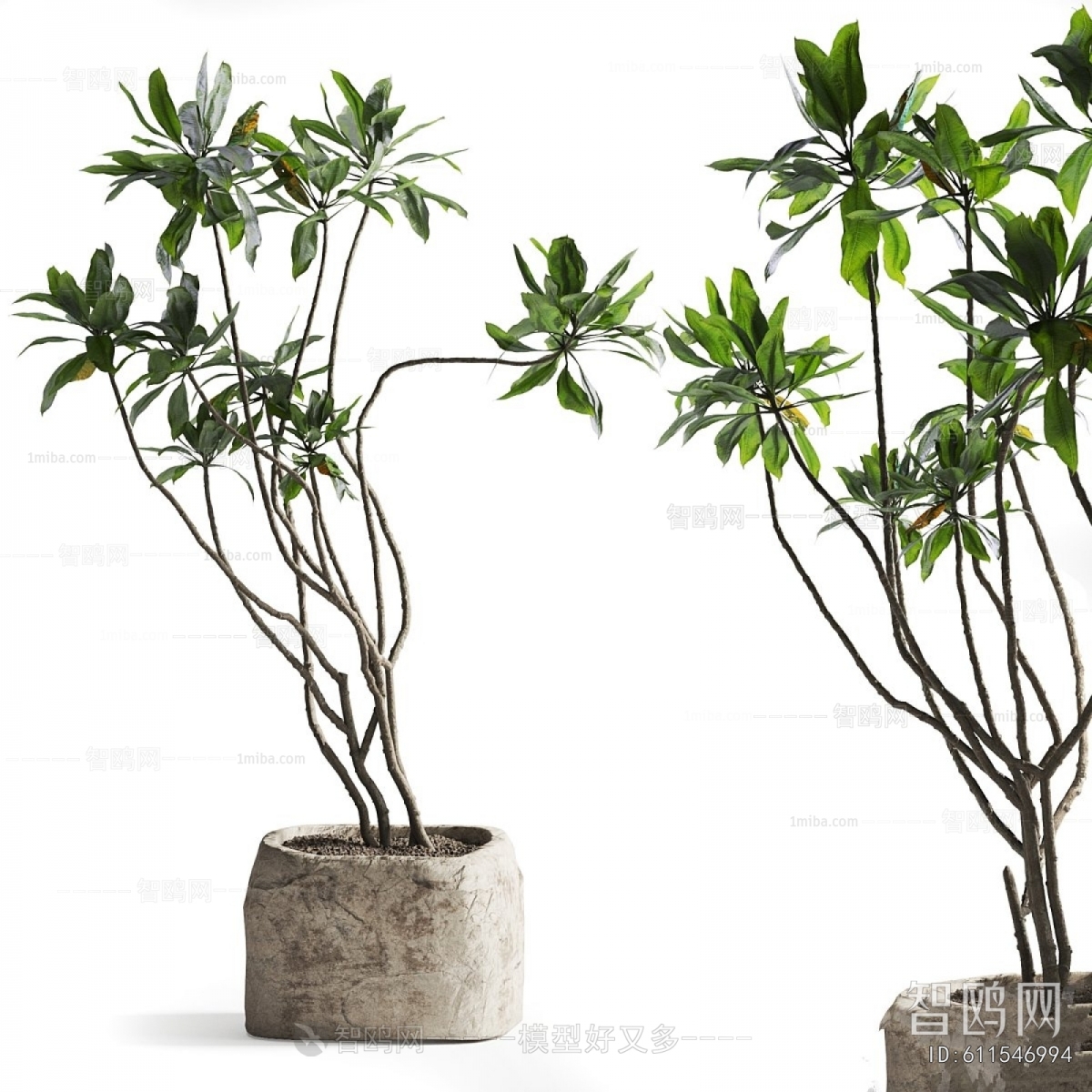 Modern Ground Green Plant Potted Plants