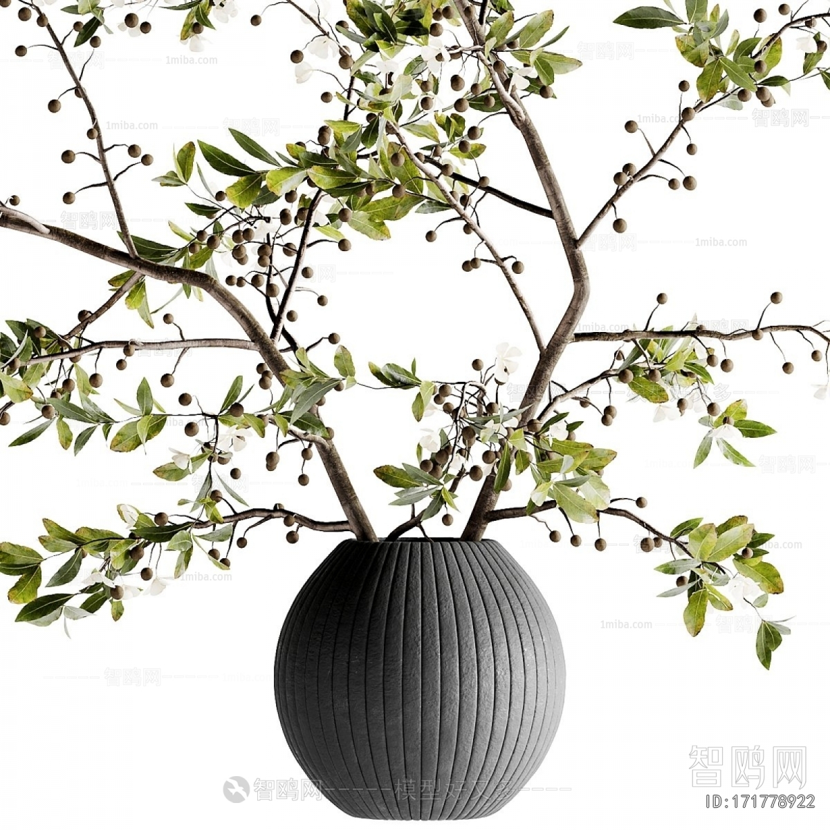 Modern Aquatic Green Plant