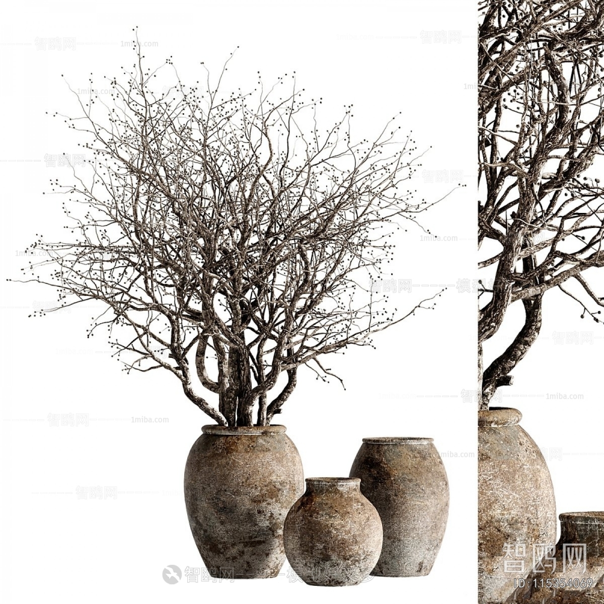 Wabi-sabi Style Dried Branch