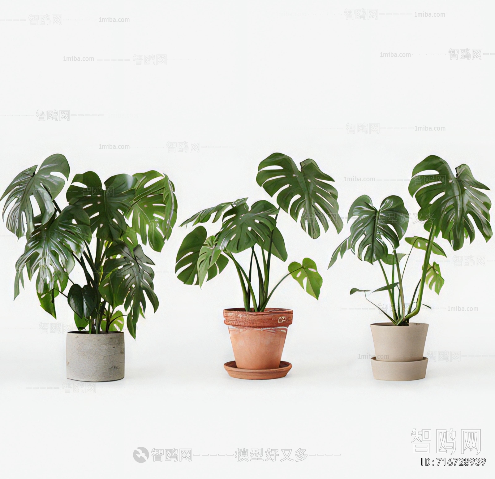 Modern Potted Green Plant
