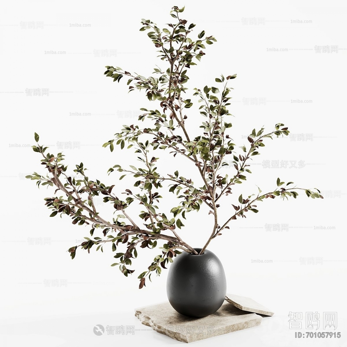 Modern Aquatic Green Plant