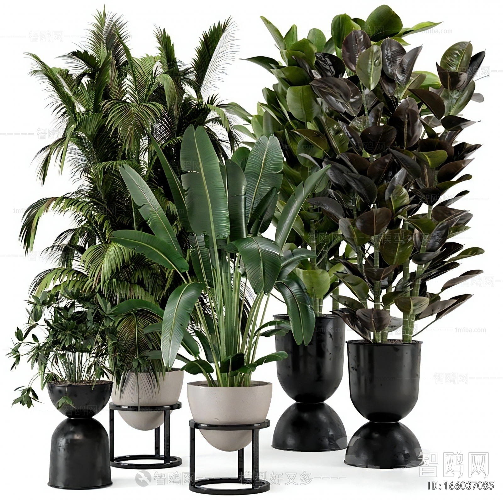 Modern Ground Green Plant Potted Plants