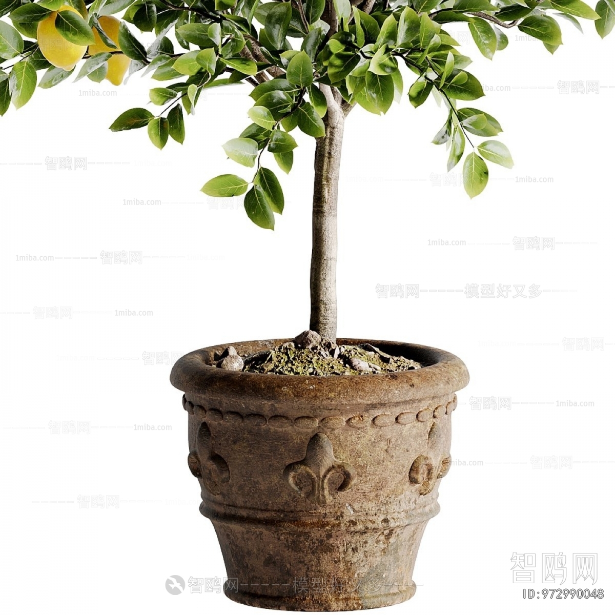 Modern Ground Green Plant Potted Plants