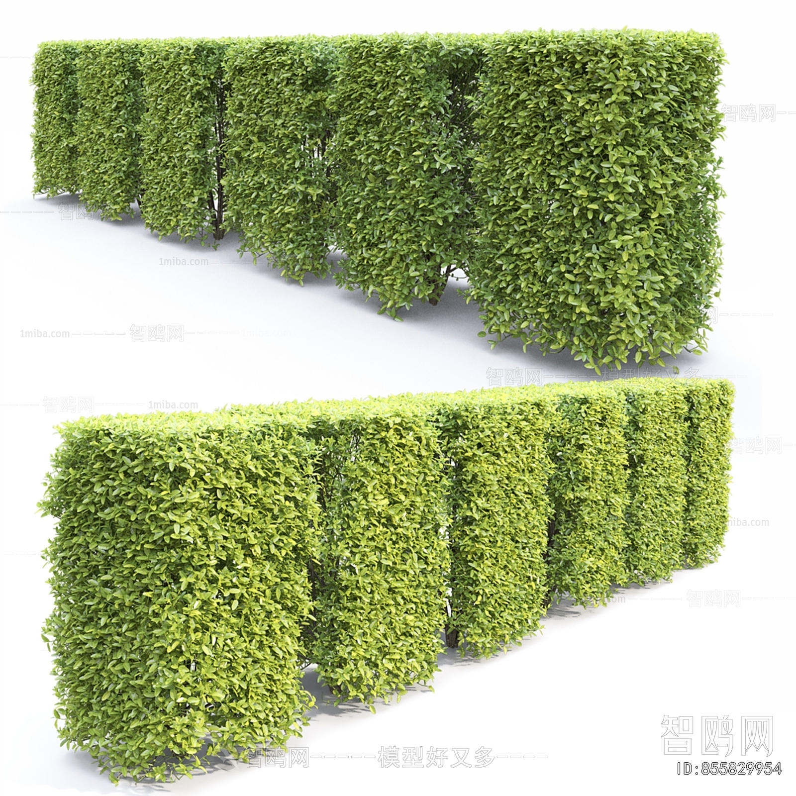 Modern Shrubbery