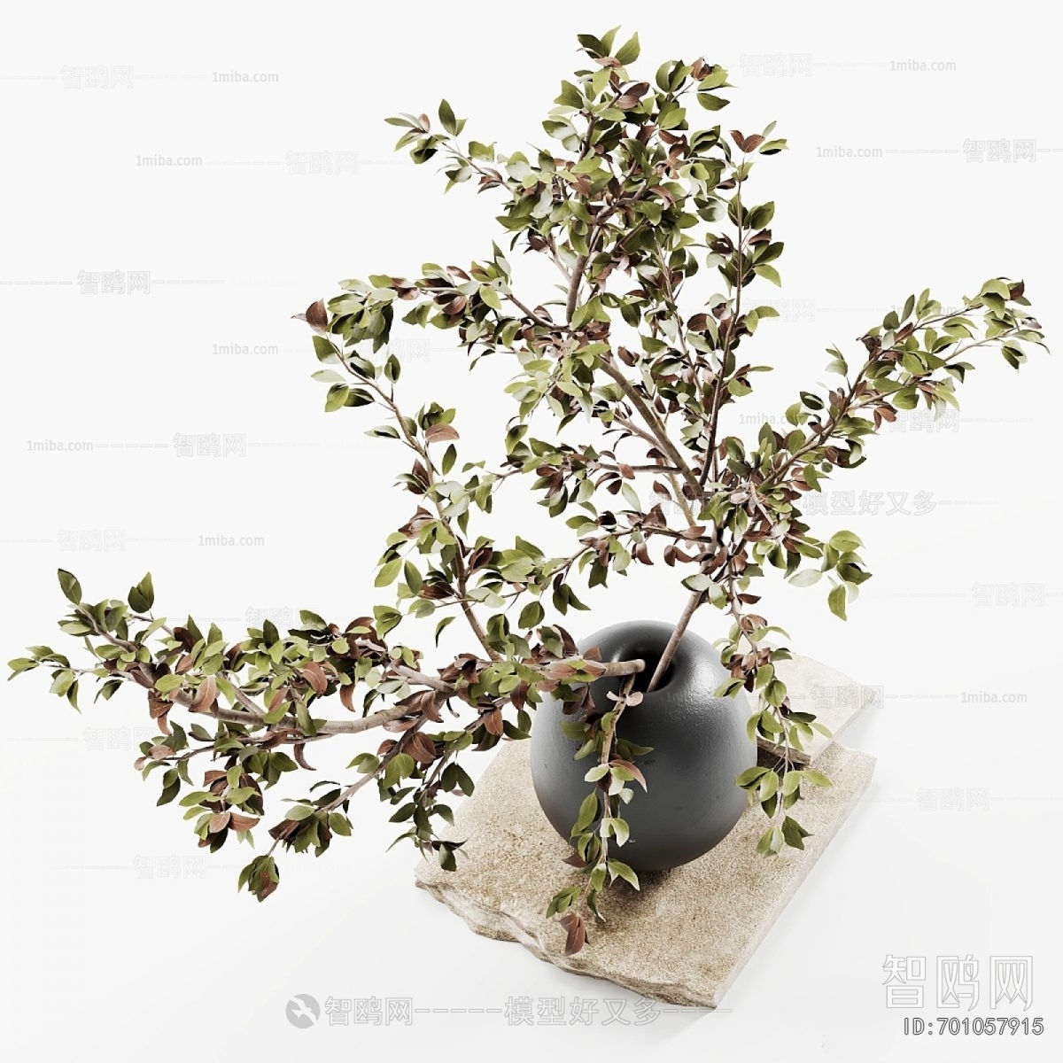 Modern Aquatic Green Plant