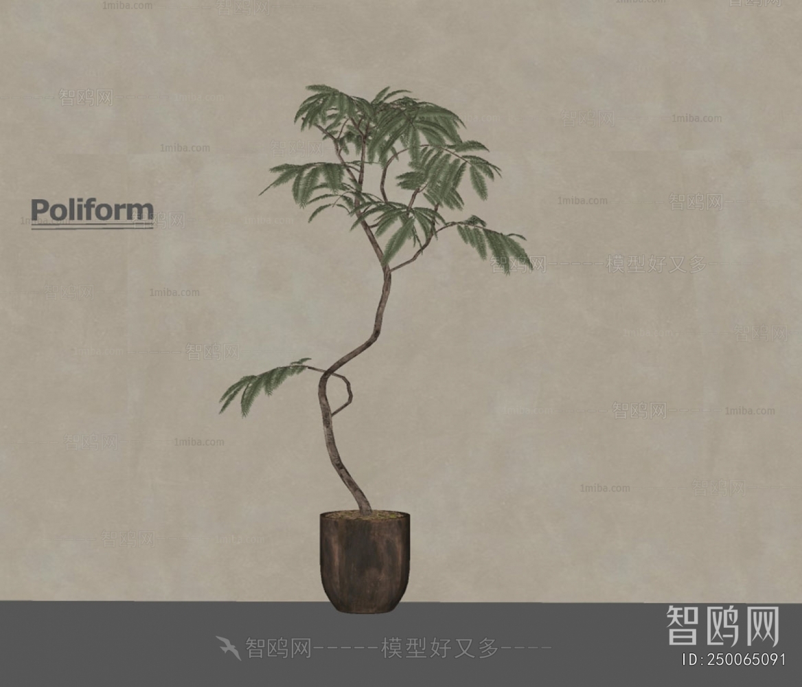 Modern Ground Green Plant Potted Plants