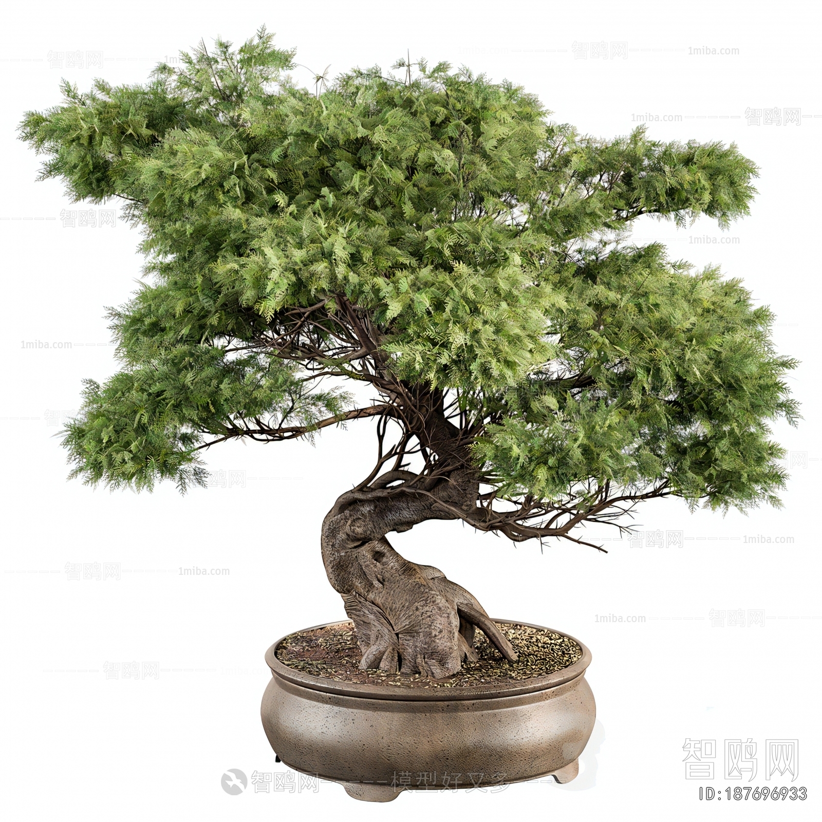 New Chinese Style Bonsai
