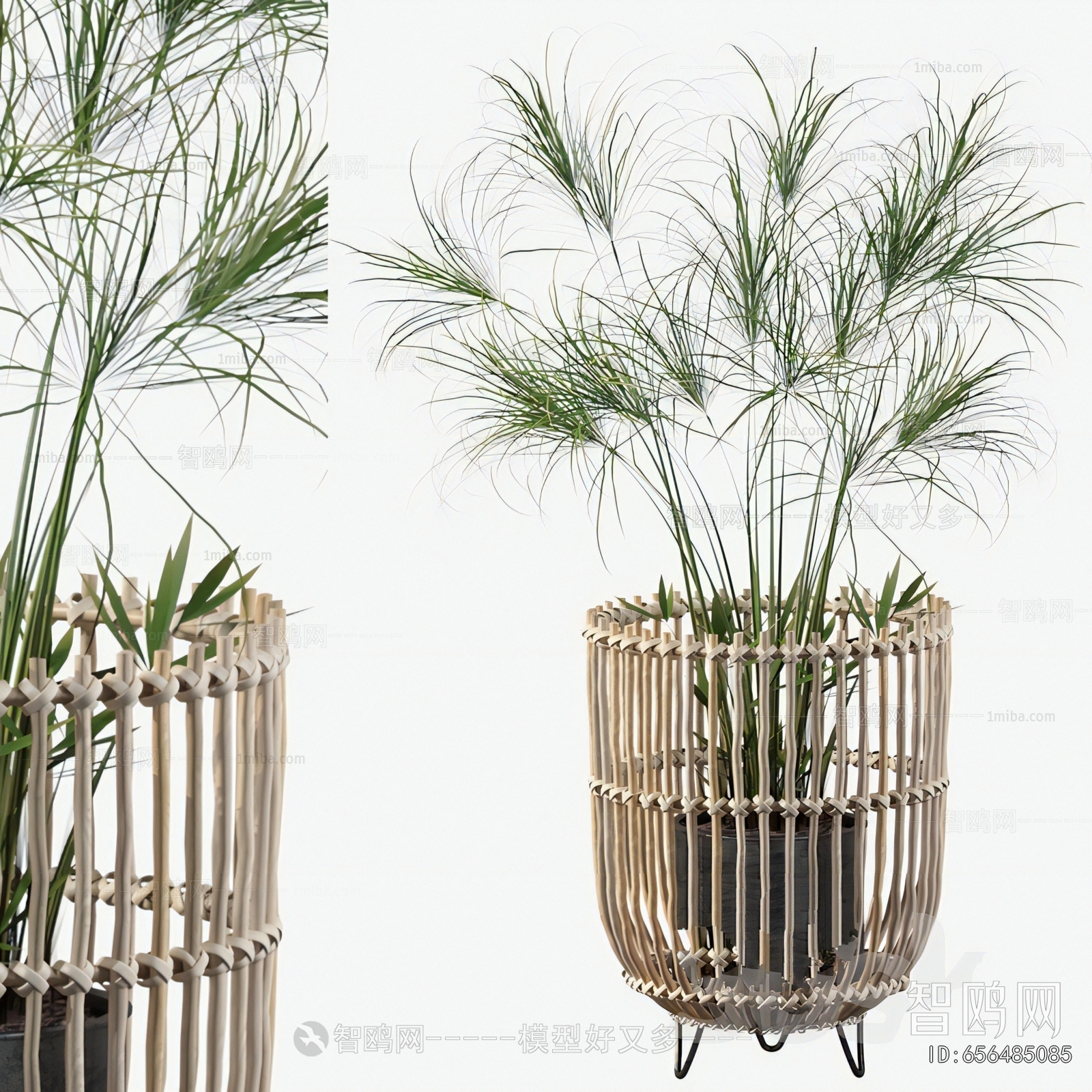 Modern Ground Green Plant Potted Plants
