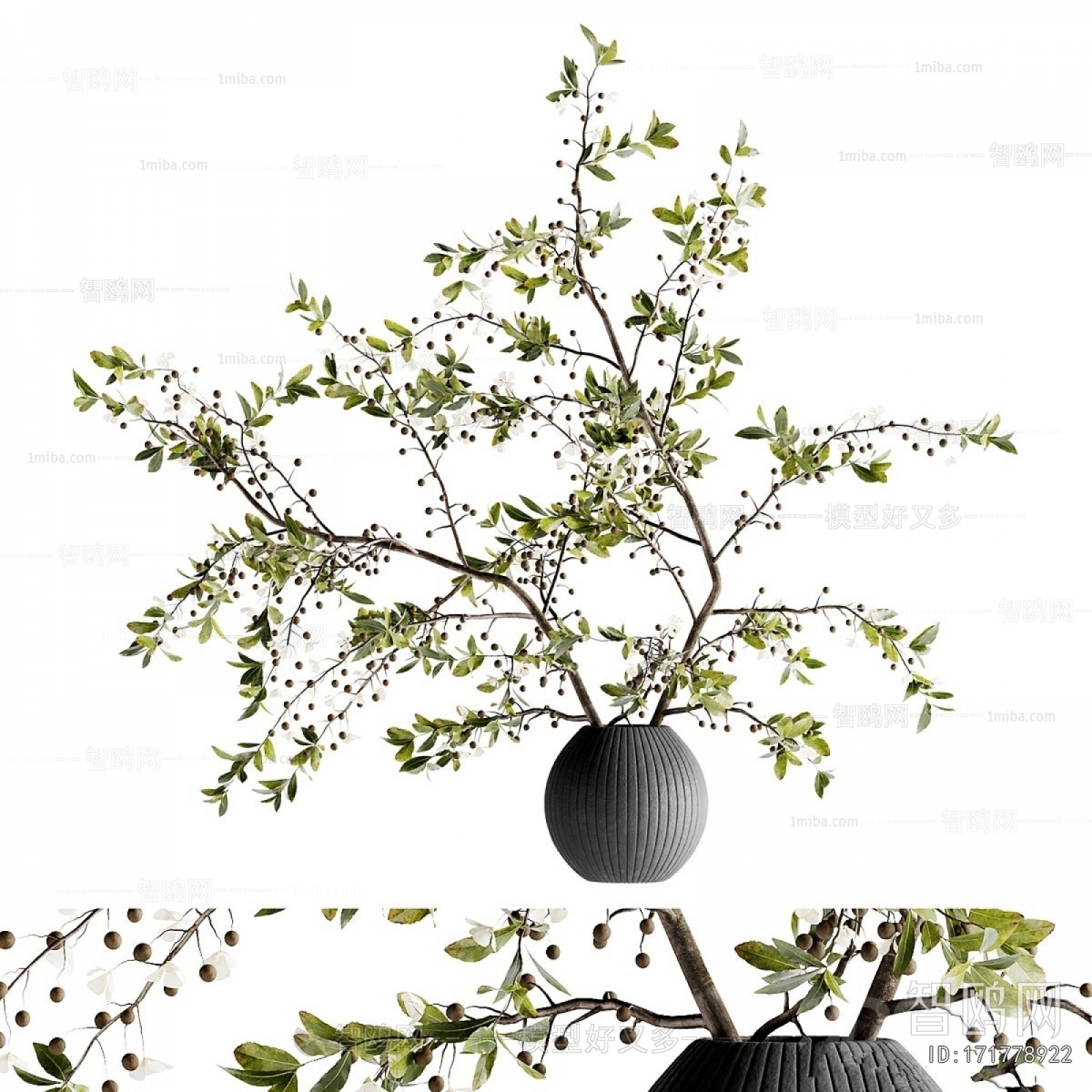 Modern Aquatic Green Plant