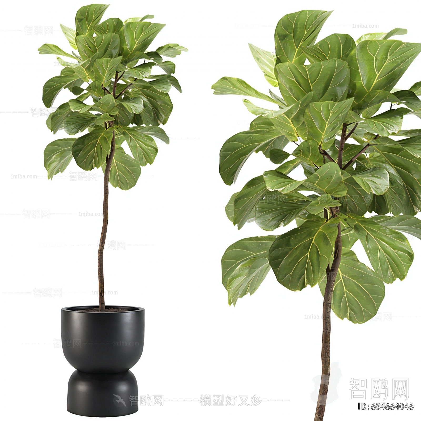 Modern Ground Green Plant Potted Plants