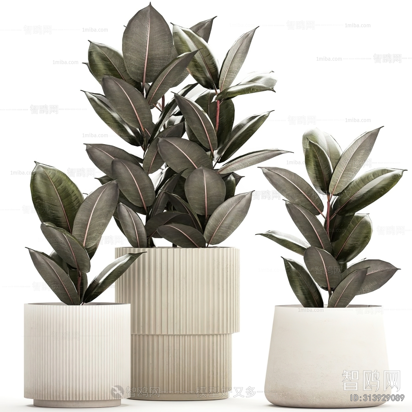 Modern Potted Green Plant