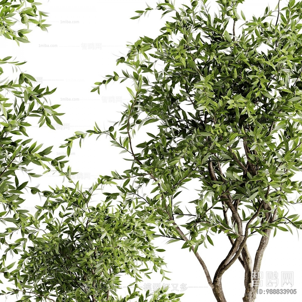 Modern Ground Green Plant Potted Plants