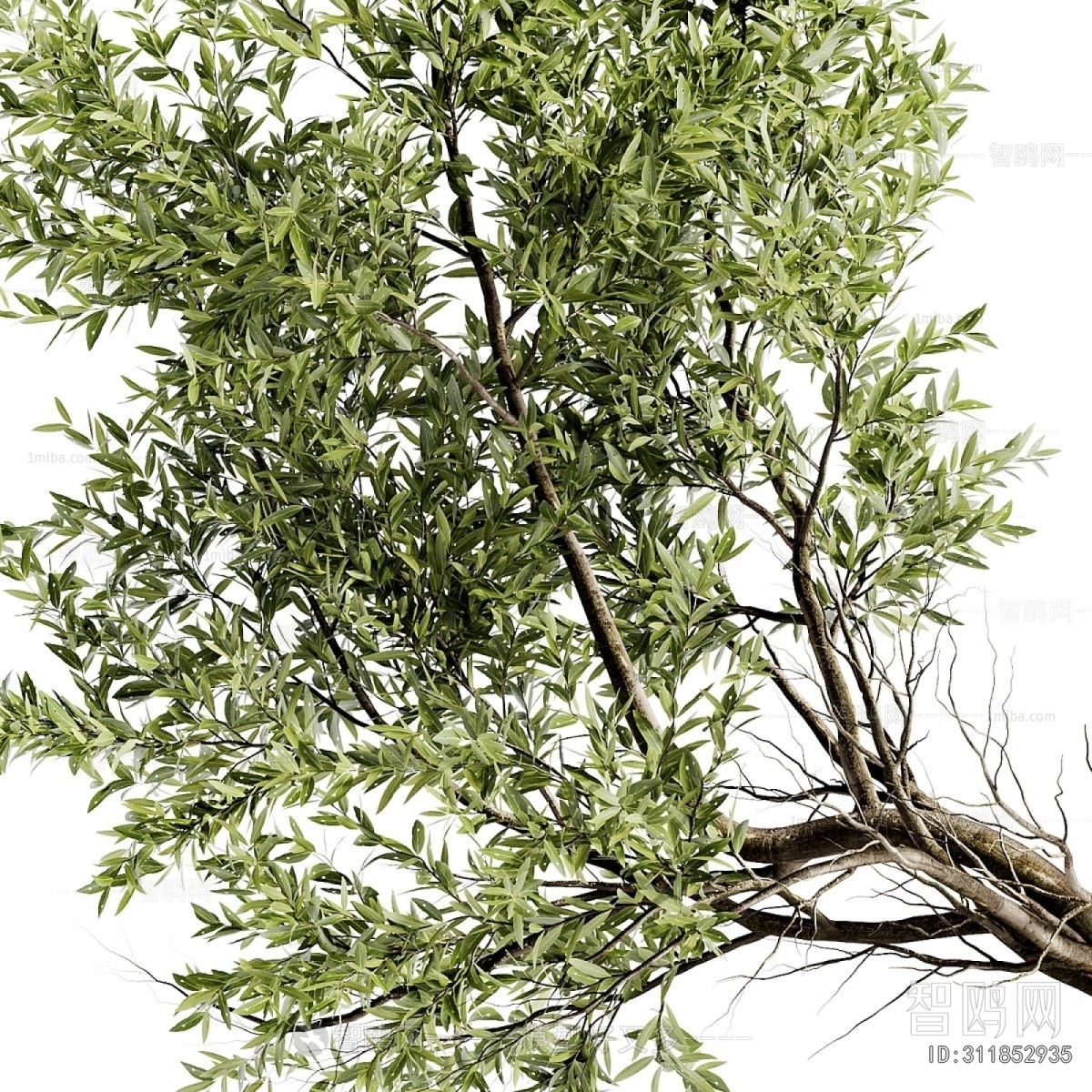 Wabi-sabi Style Ground Green Plant Potted Plants