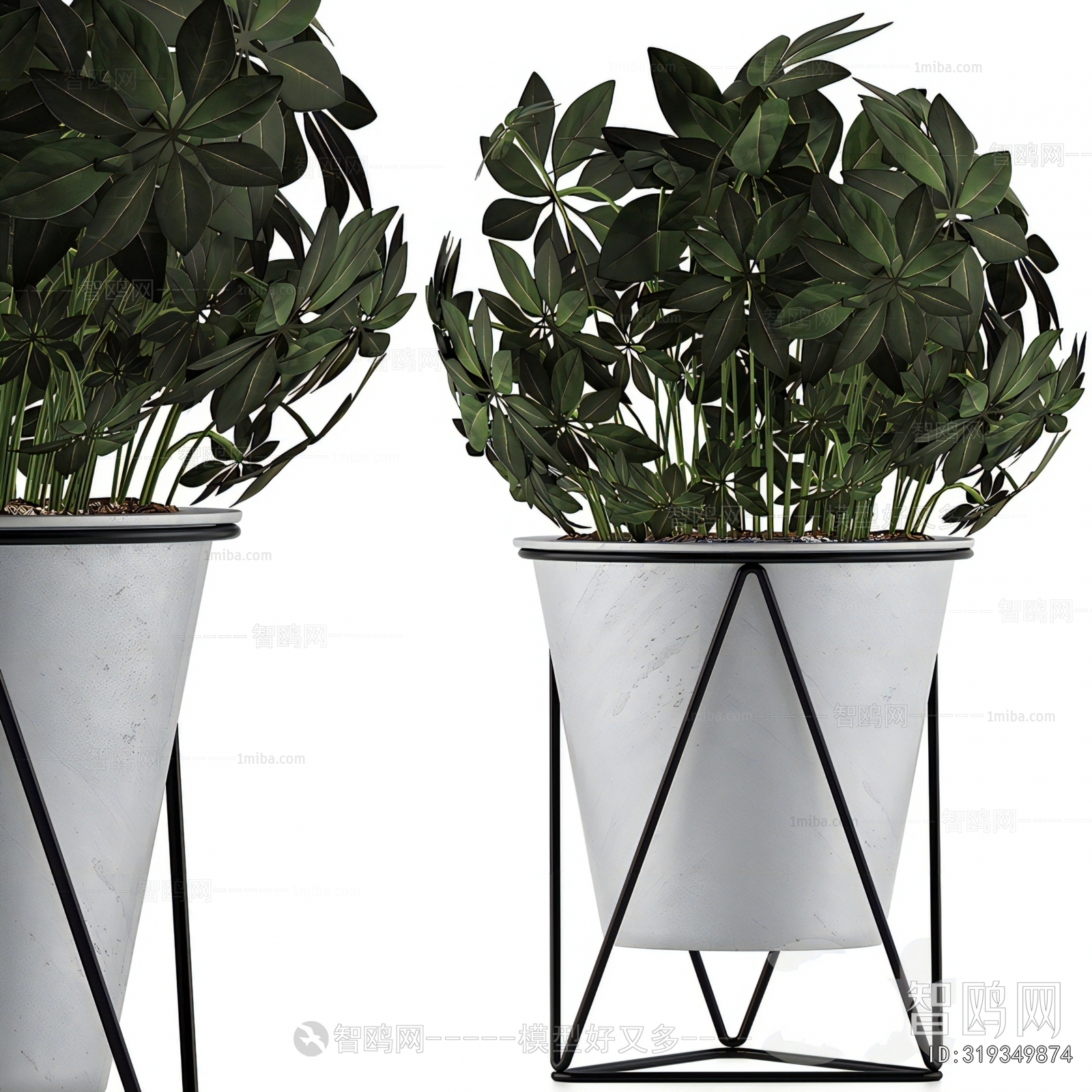 Modern Ground Green Plant Potted Plants