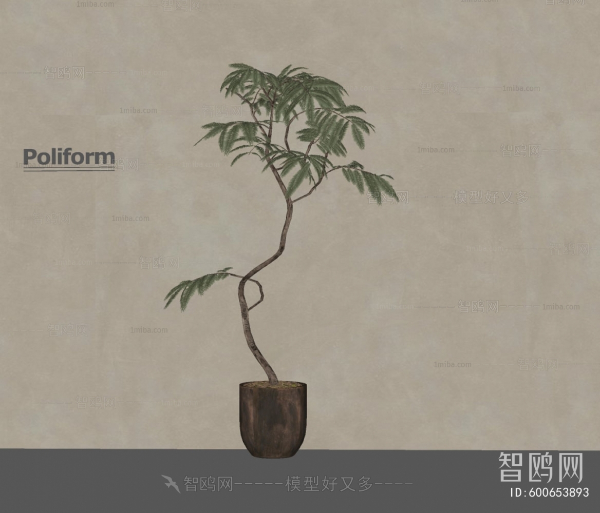 Modern Ground Green Plant Potted Plants