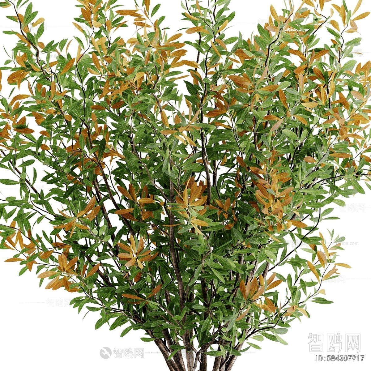 Wabi-sabi Style Ground Green Plant Potted Plants