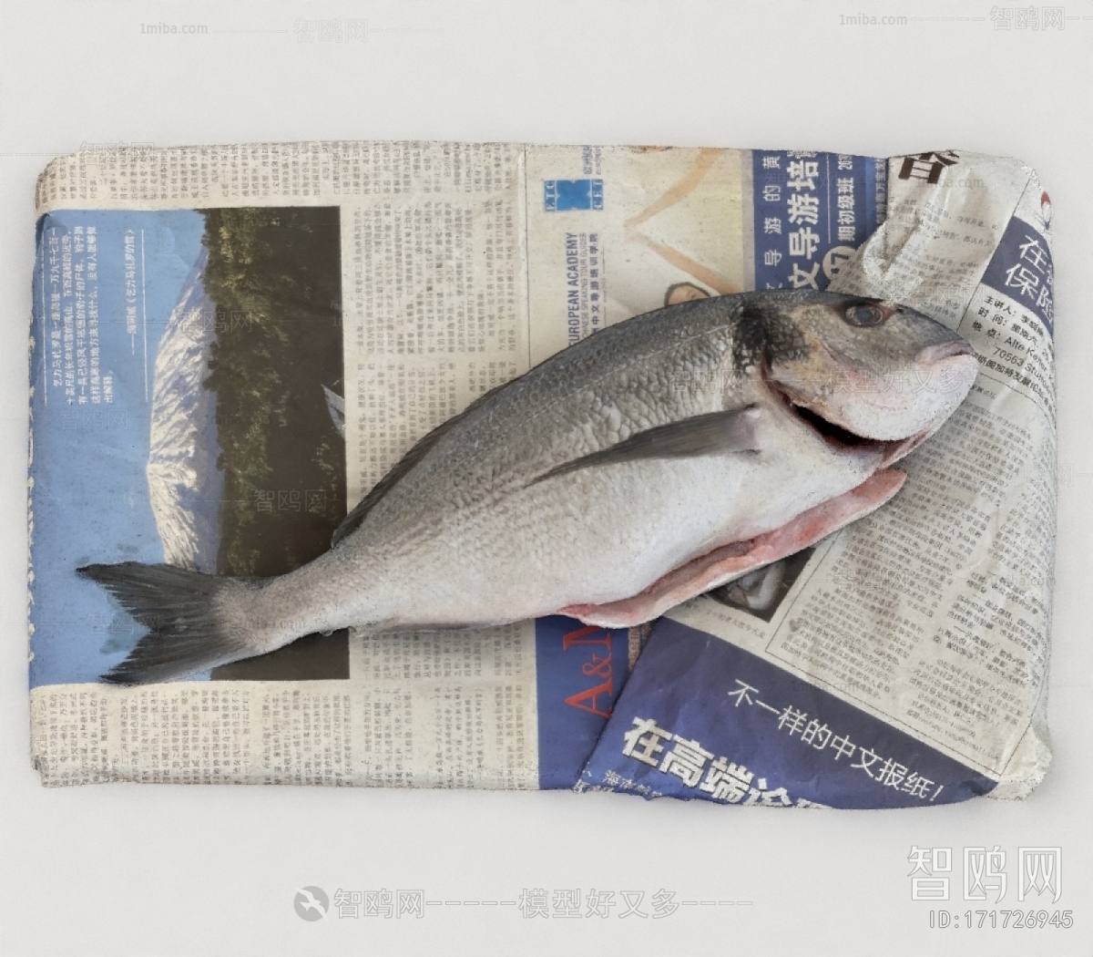 Modern Aquatic Product