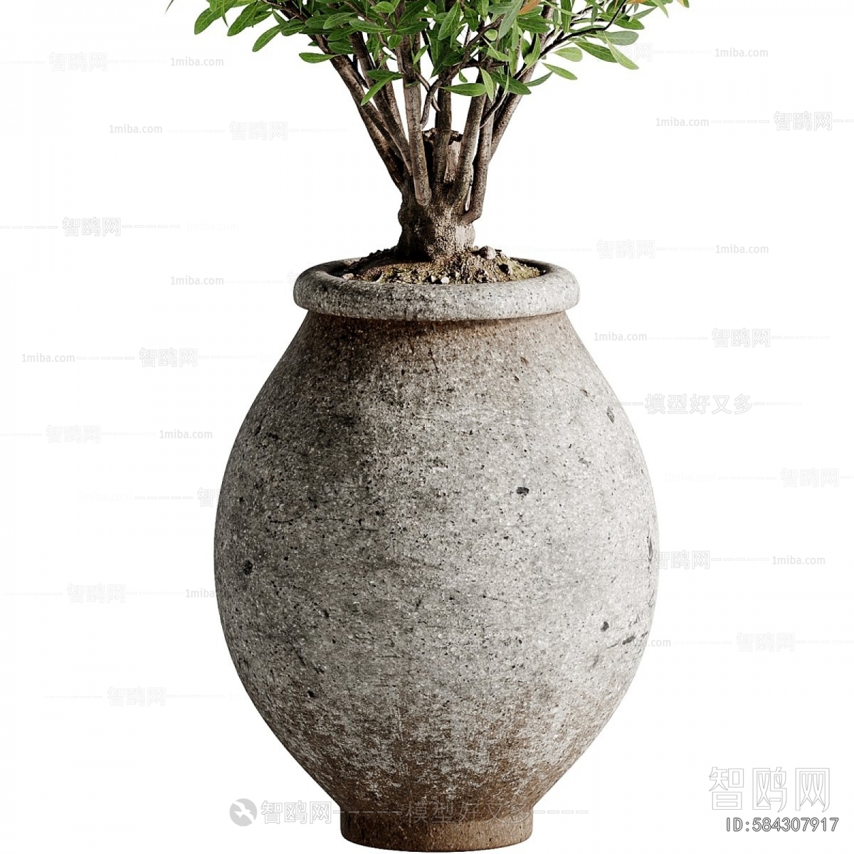 Wabi-sabi Style Ground Green Plant Potted Plants