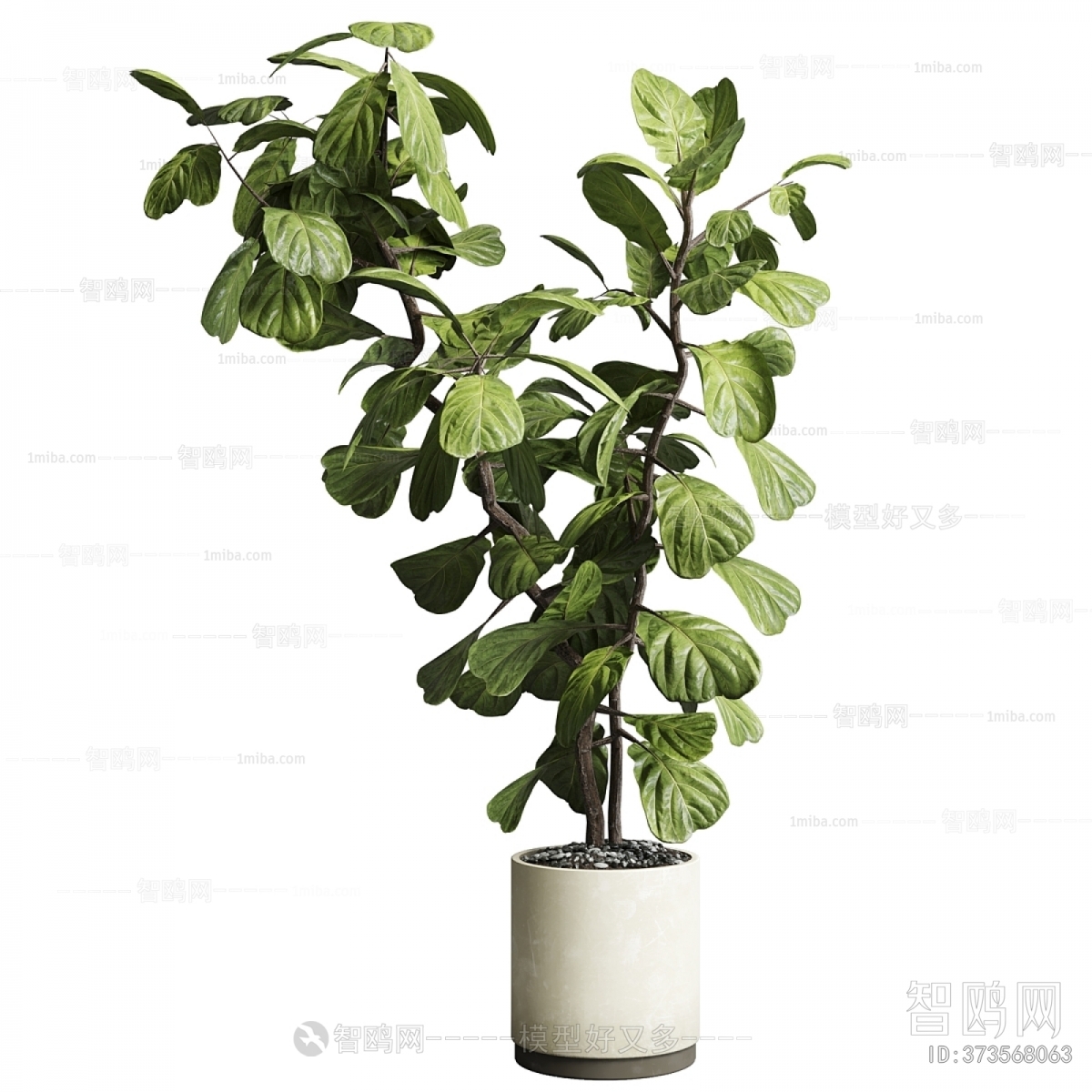 Modern Ground Green Plant Potted Plants