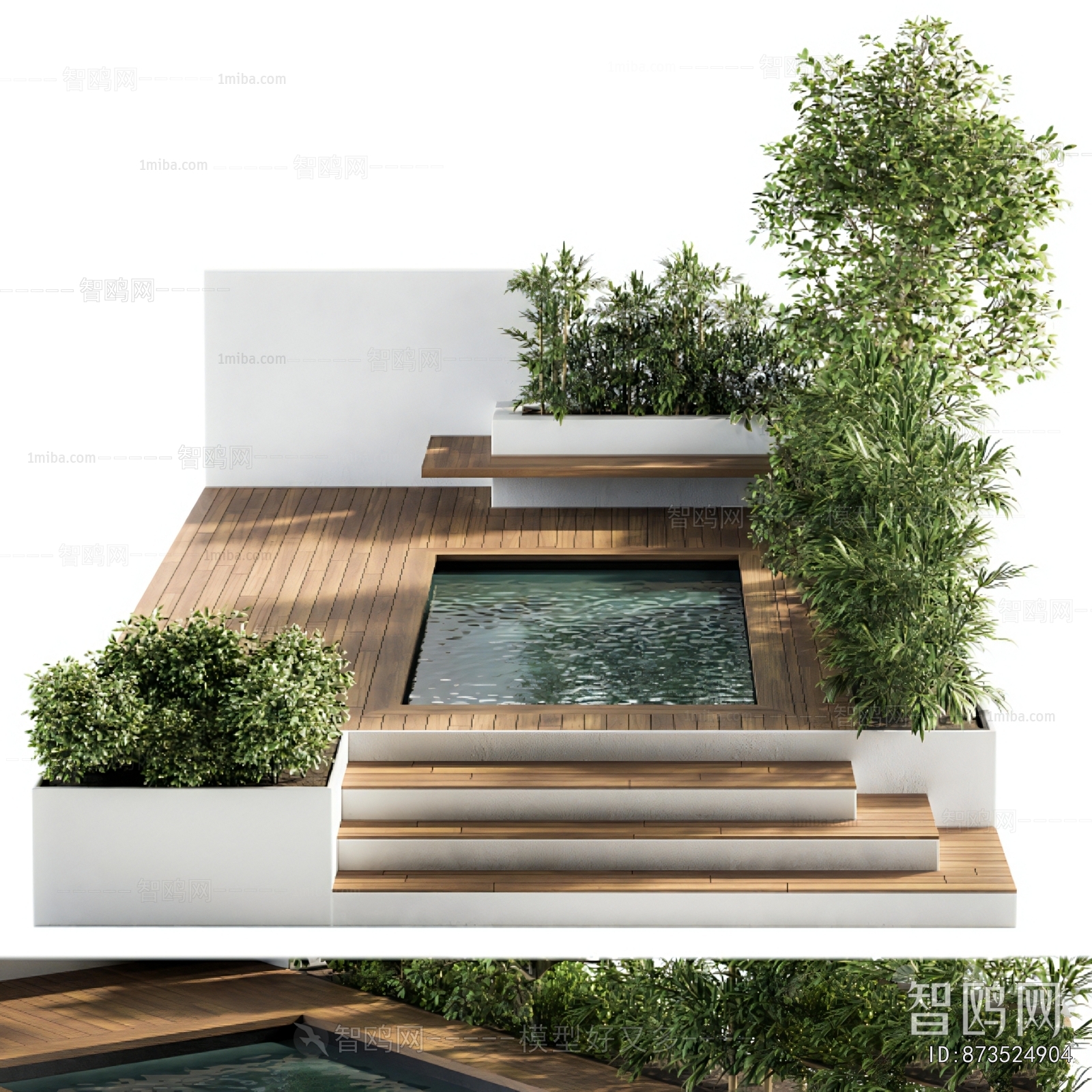 Modern Swimming Pool