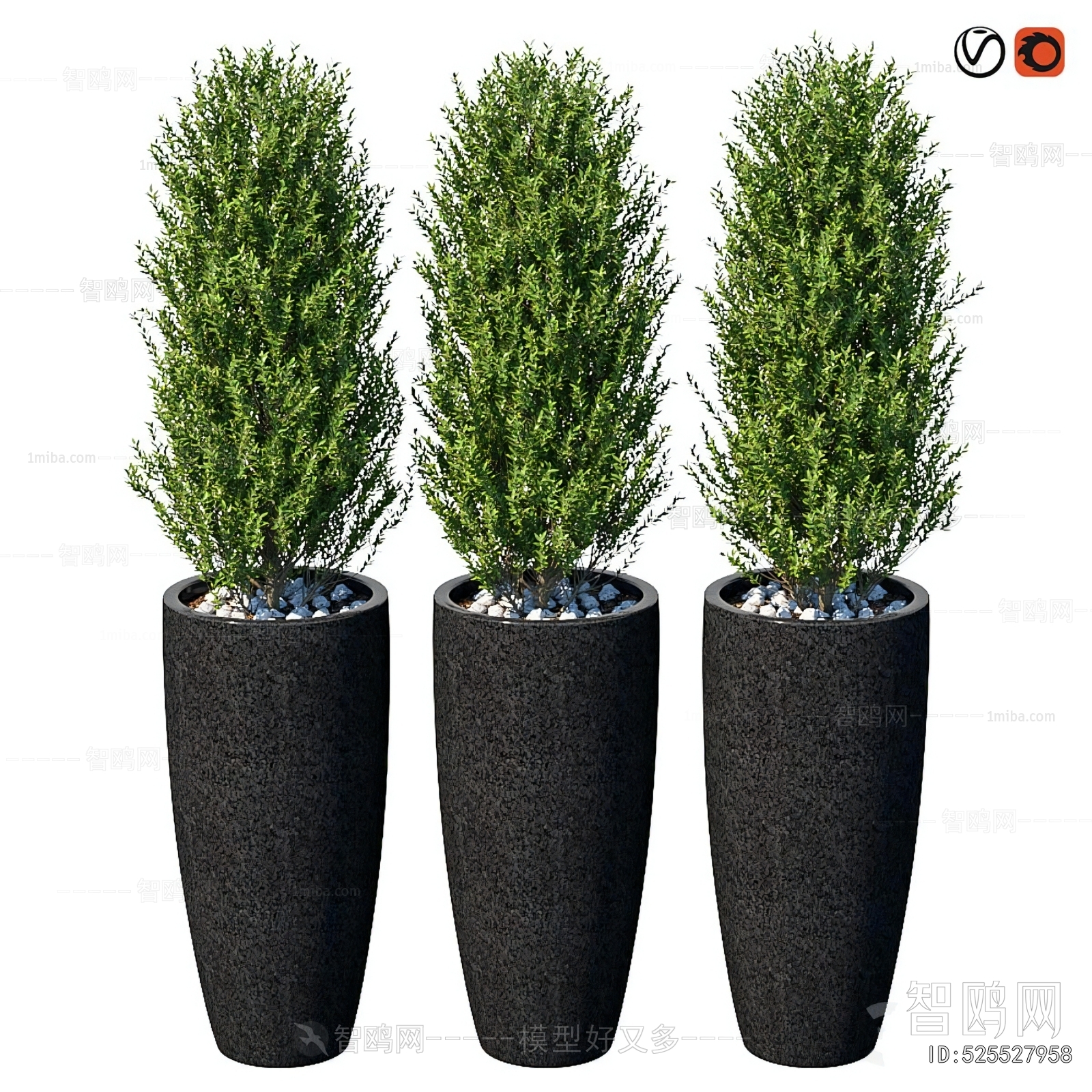 Modern Ground Green Plant Potted Plants