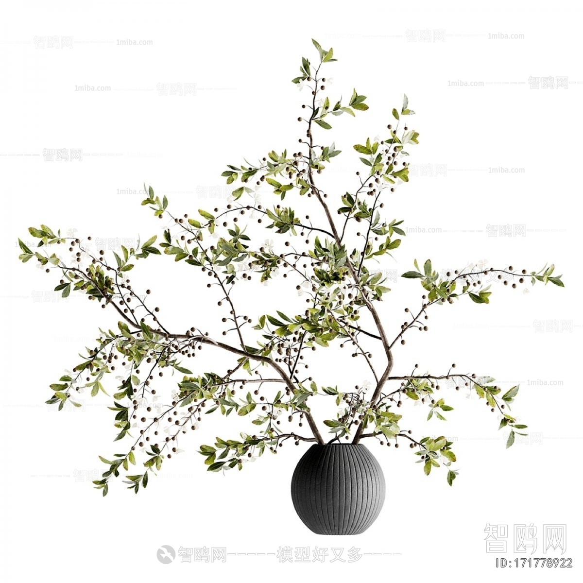 Modern Aquatic Green Plant