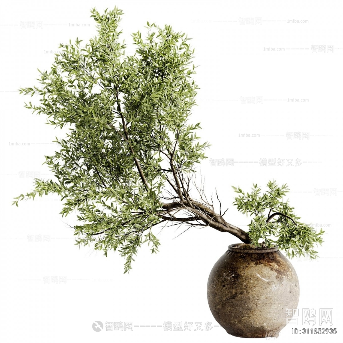 Wabi-sabi Style Ground Green Plant Potted Plants