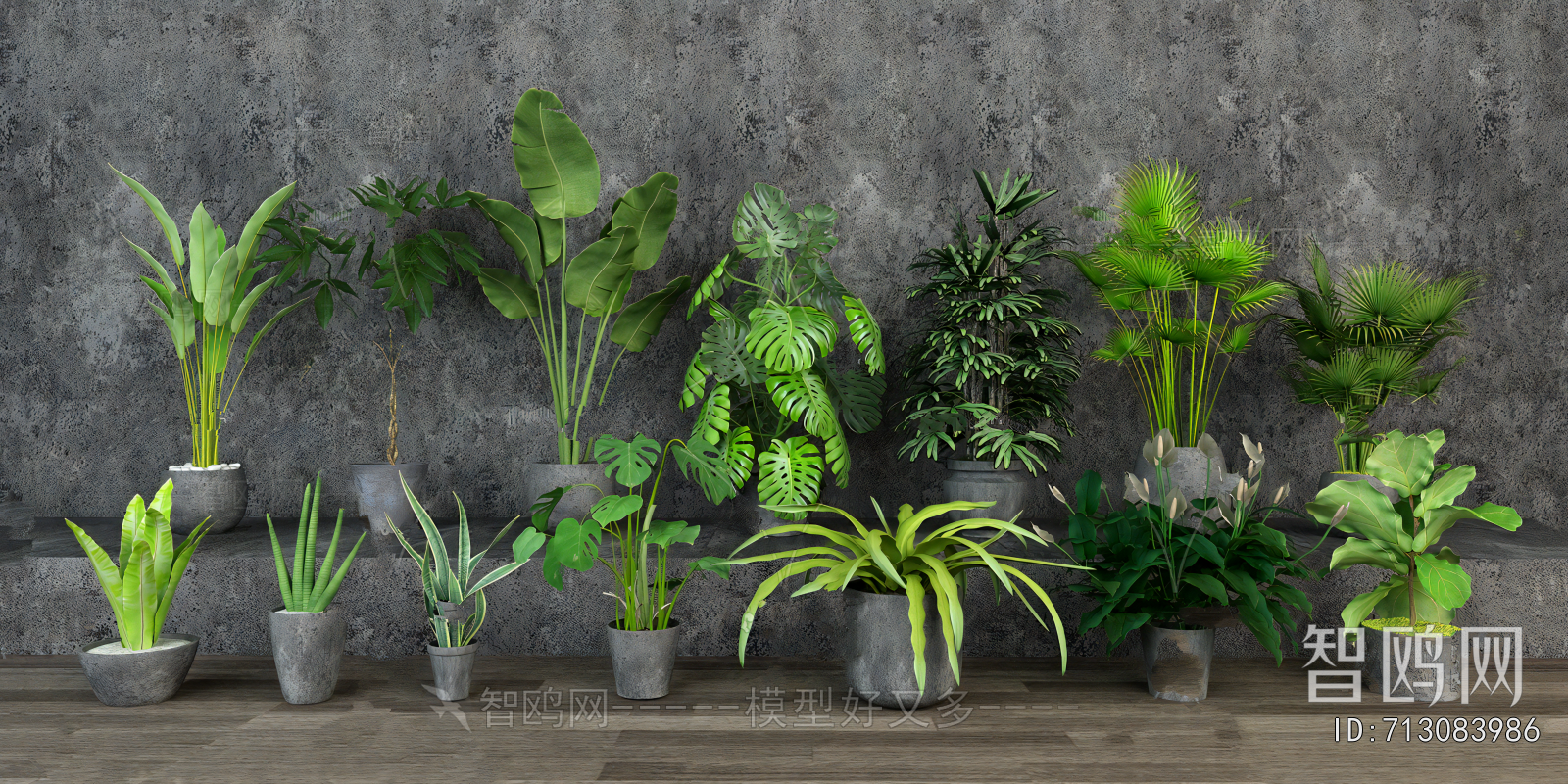 Modern Potted Green Plant