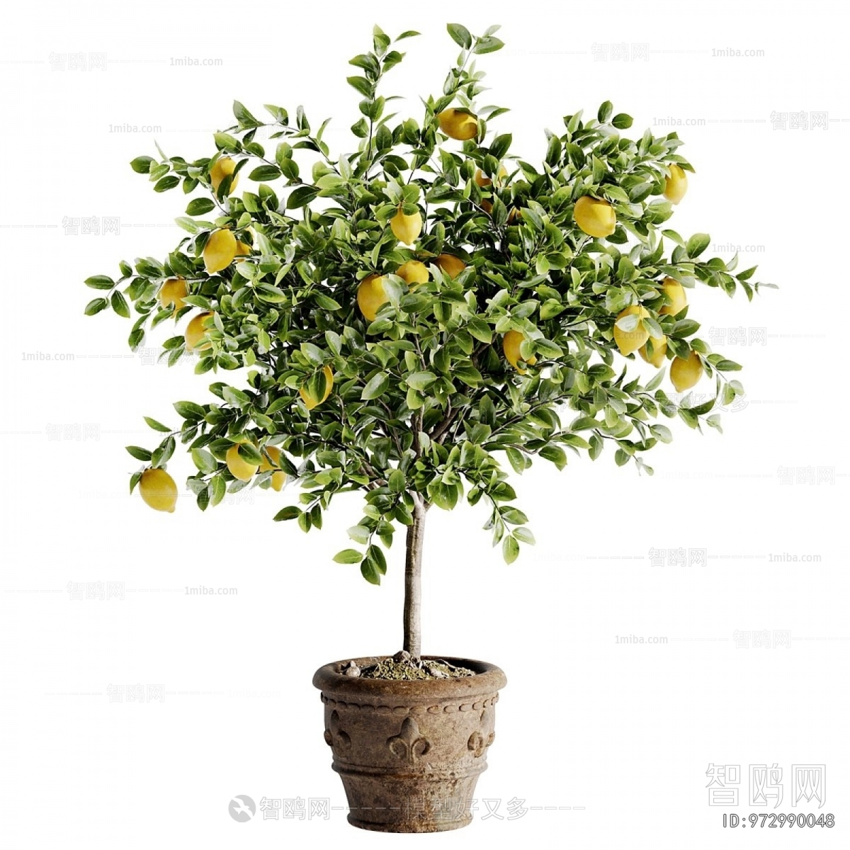 Modern Ground Green Plant Potted Plants