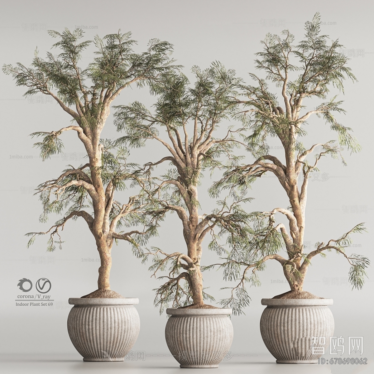 Modern Ground Green Plant Potted Plants