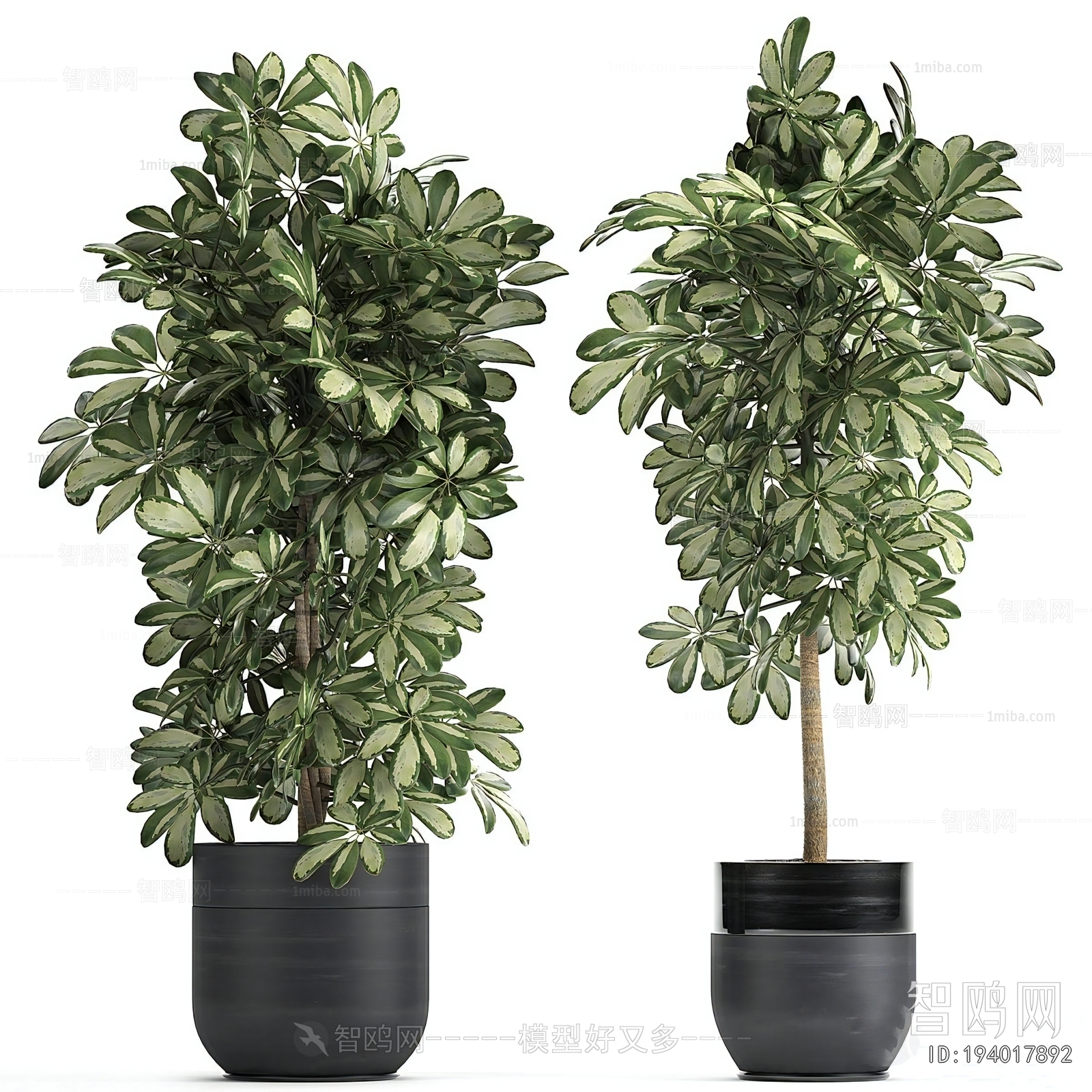 Modern Ground Green Plant Potted Plants